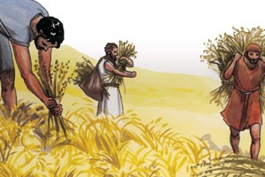 Lời Chúa Ngày 28/07/2026: Thứ Ba tuần 17 Thường niên năm II - Cơ hội và nguy cơ (Mt 13,36-43)