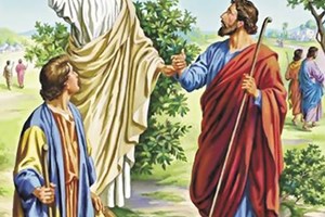 Lời Chúa Ngày 09/07/2026: Thứ Năm tuần 14 Thường niên năm II - Loan báo Tin Mừng (Mt 10,7-15)