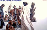 Lời Chúa Ngày 16/08/2026: Chúa nhật 20 Thường niên năm A (Mt 15,21-28)