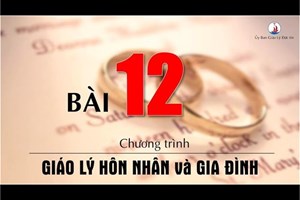 Bài 12: Sự phân ly vợ chồng