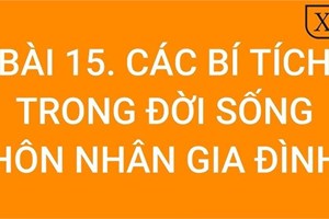 Bài 15: Các bí tích trong đời sống Hôn nhân và gia đình