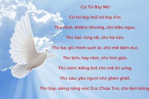 Kinh Cải Tội Bảy Mối